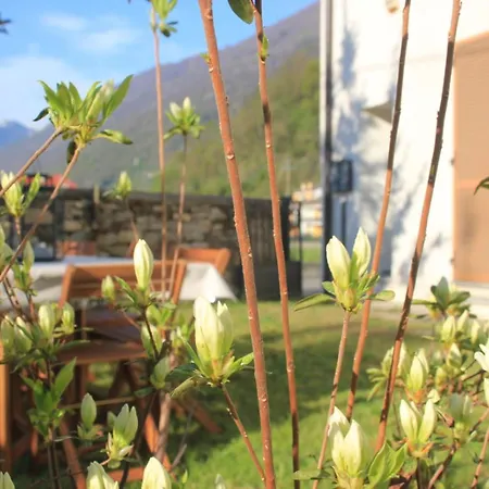 Aglichalet Bosco-vasca Idromassaggio Privata, Condivisa Tra I Due Chalet, Con Parcheggio Privato Gratuito E Colonnina Ricarica Auto Veloce Con Supplemento 펜션