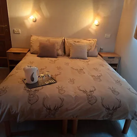 Aglichalet Bosco-vasca Idromassaggio Privata, Condivisa Tra I Due Chalet, Con Parcheggio Privato Gratuito E Colonnina Ricarica Auto Veloce Con Supplemento 펜션 도모도솔라