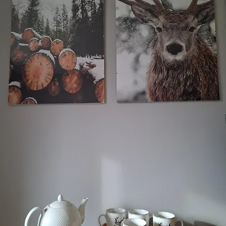 Aglichalet Bosco-Vasca Idromassaggio Privata, Condivisa Tra I Due Chalet, Con Parcheggio Privato Gratuito E Colonnina Ricarica Auto Veloce Con Supplemento *