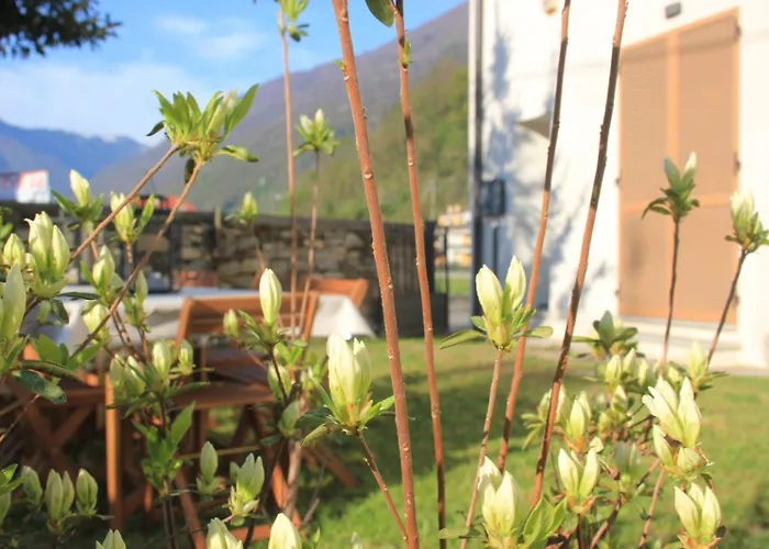 Aglichalet Bosco-Vasca Idromassaggio Privata, Condivisa Tra I Due Chalet, Con Parcheggio Privato Gratuito E Colonnina Ricarica Auto Veloce Con Supplemento Nyaraló